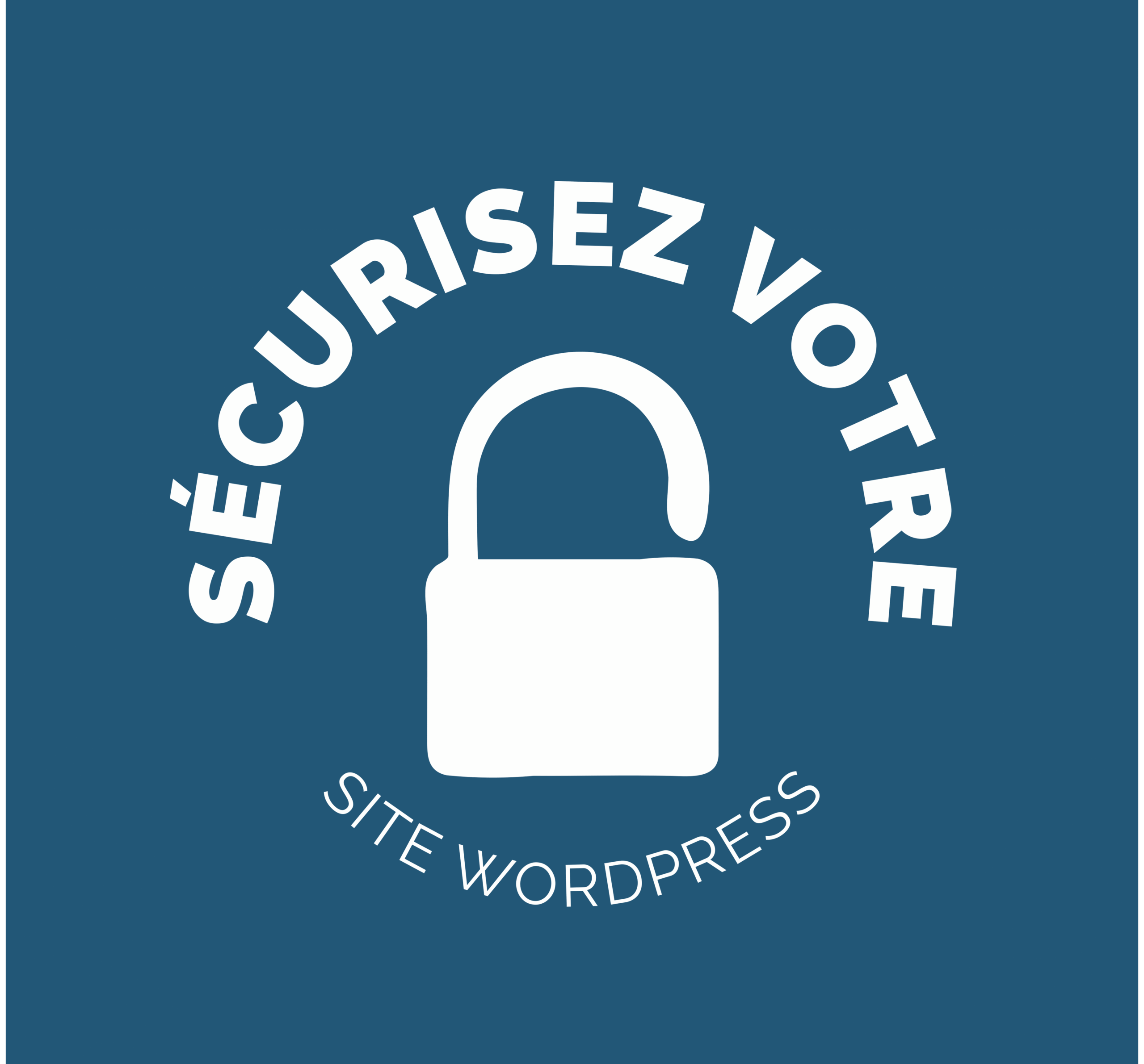 logo securisez votre site wordPress